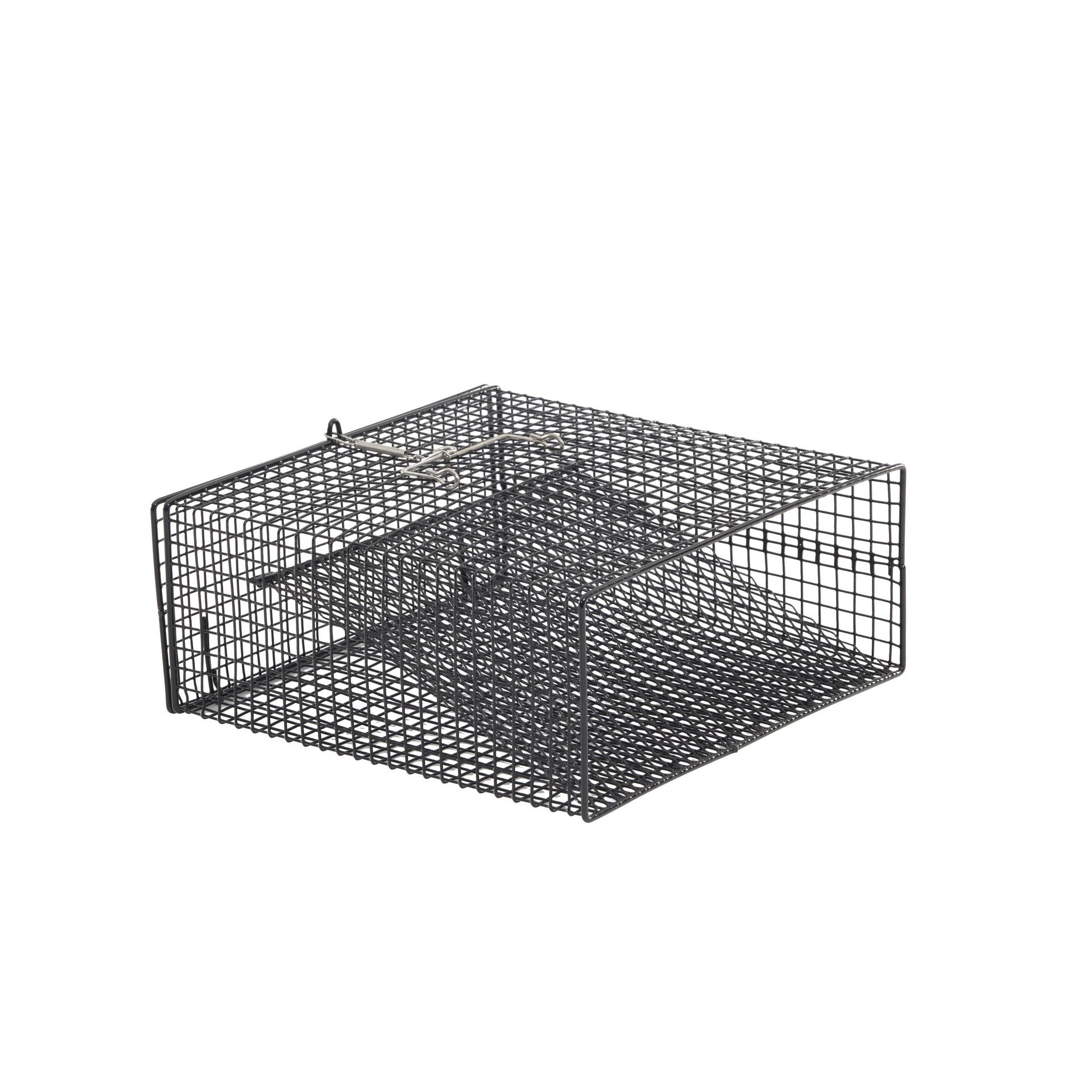 Flat Bottom Crawfish Trap | FRABILL®