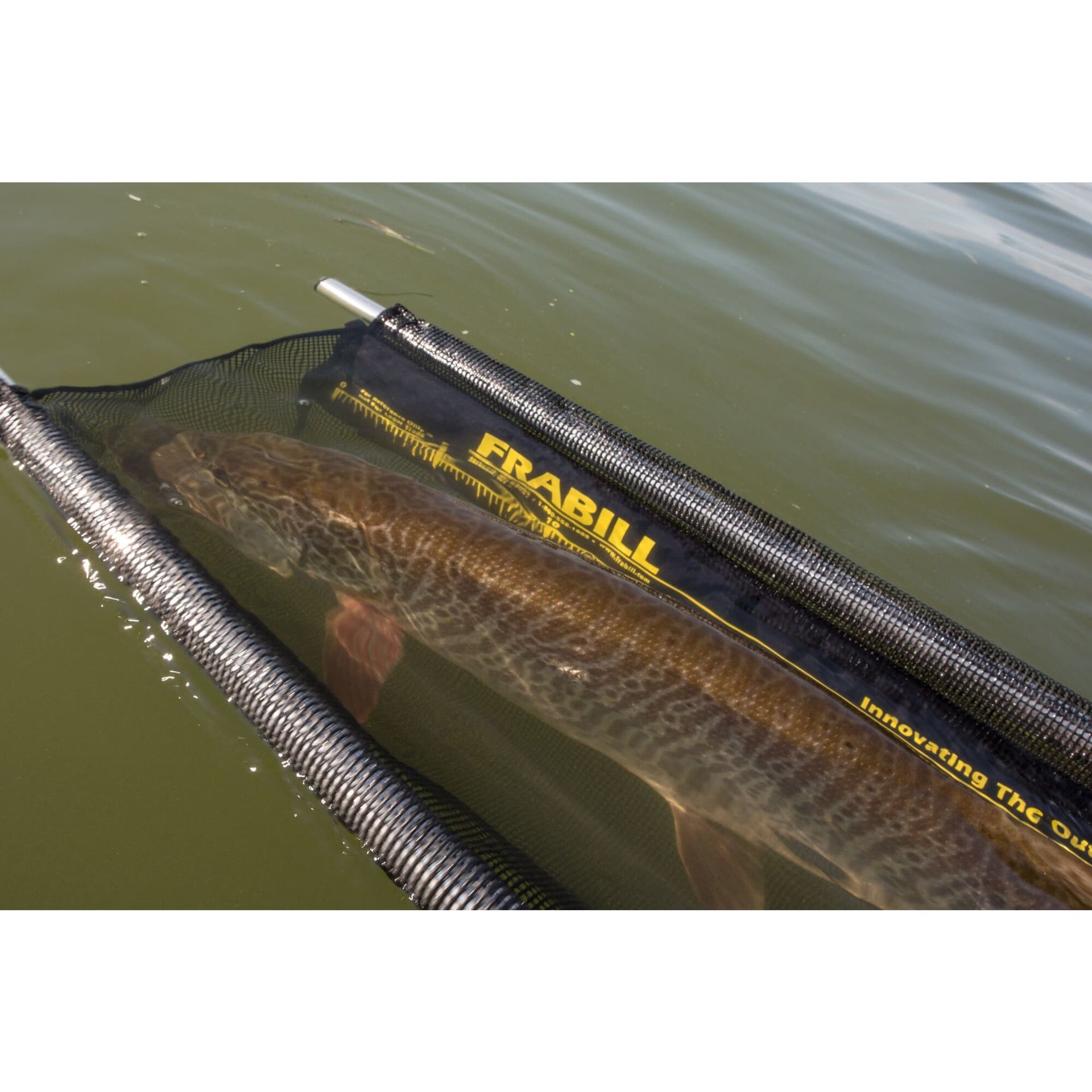 cradle fishing net RS Nets 2 inch COLORS Cradle Nets - Welcome