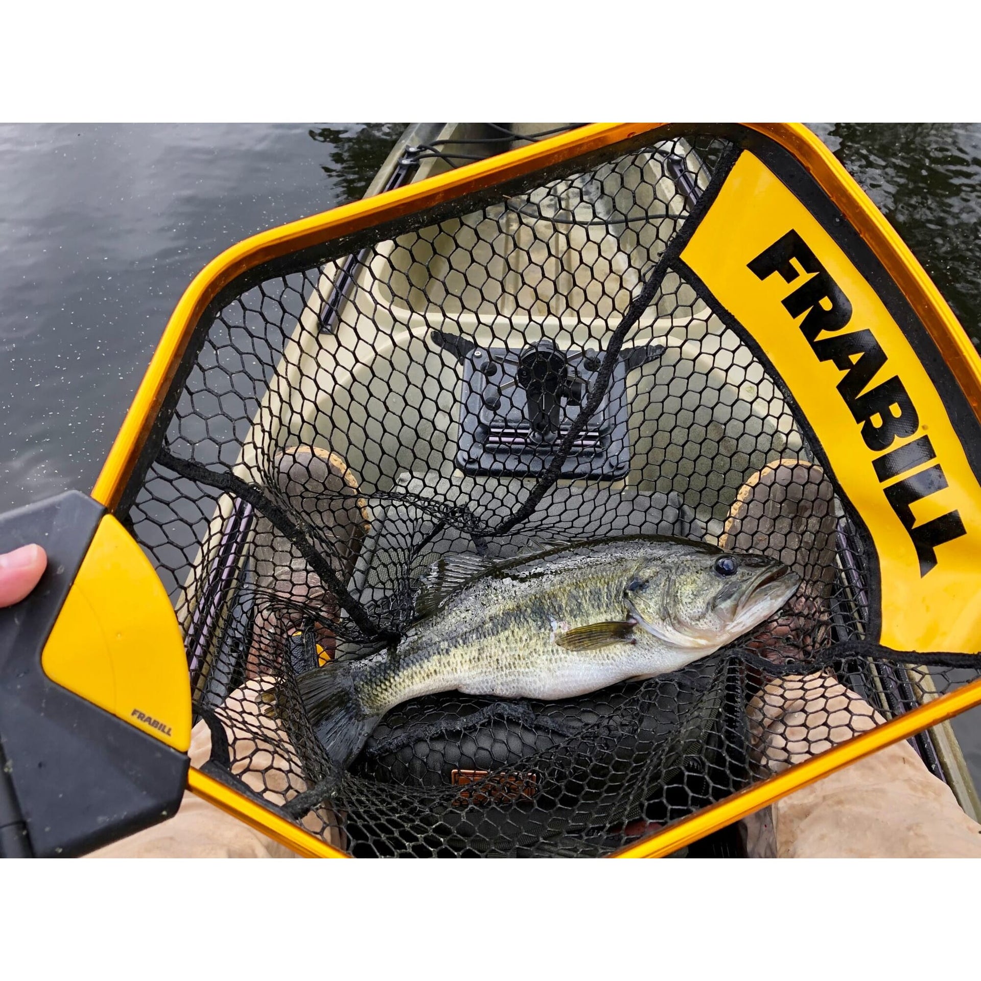 Frabill Trophy Haul Bearclaw Net