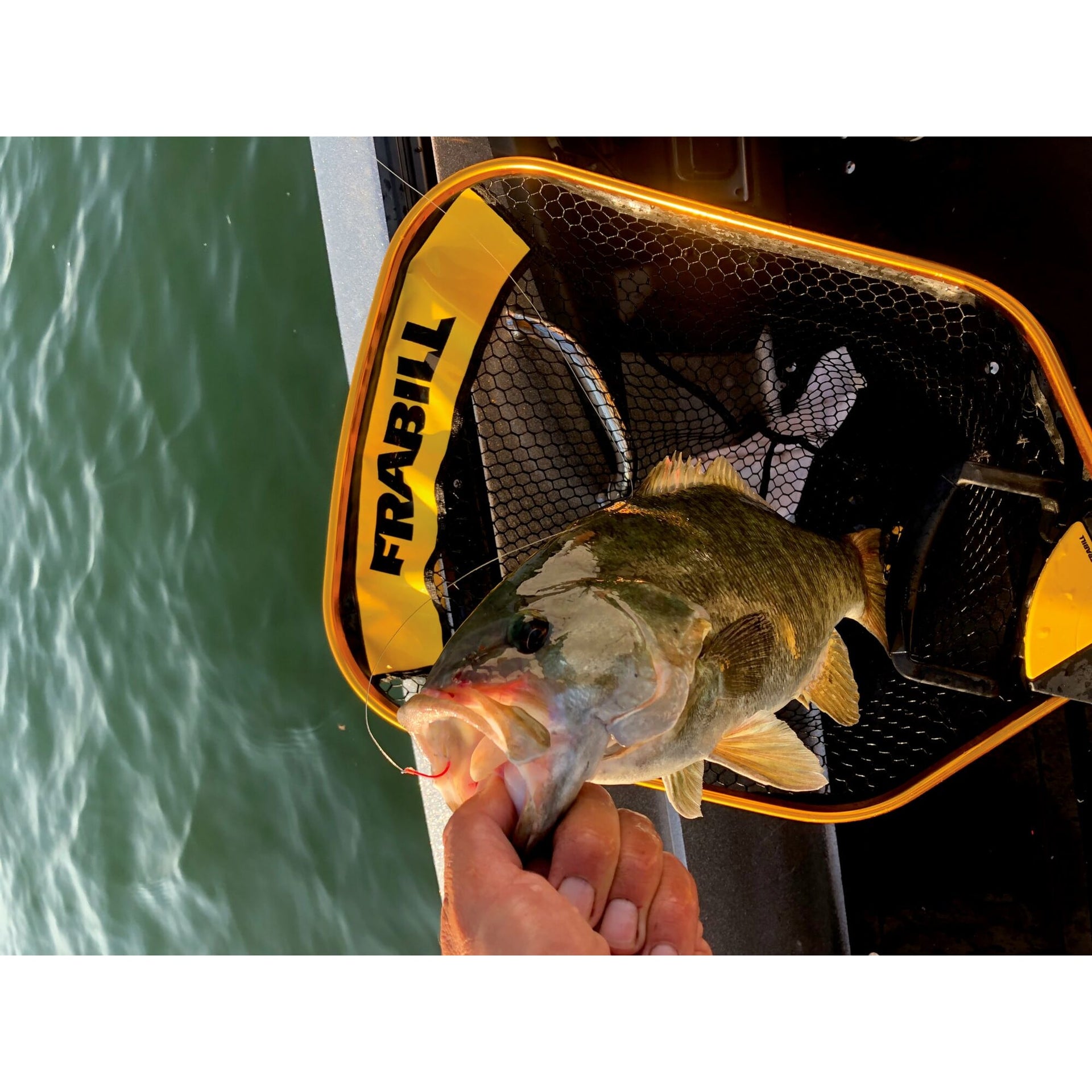 Frabill Trophy Haul Power Extend Landing Net