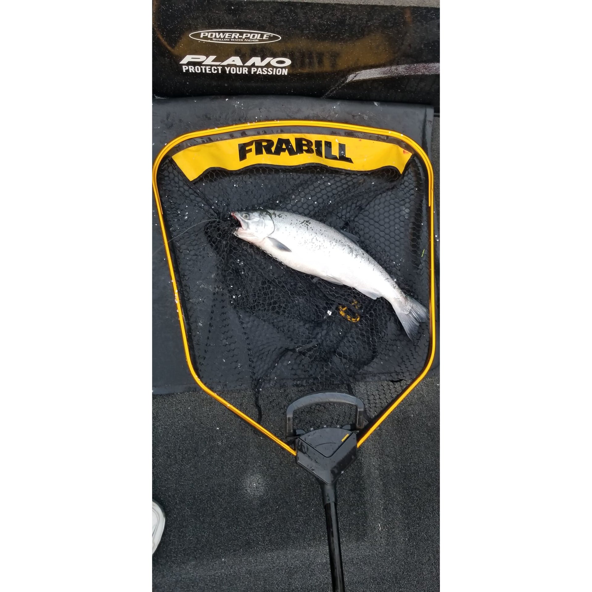 anchor brand fishing net Bridge and Pier Cast Net: Ideal for Catching Bait Fish edge technology to bring you the best nets on the market Frabill Trophy Haul Power Extend