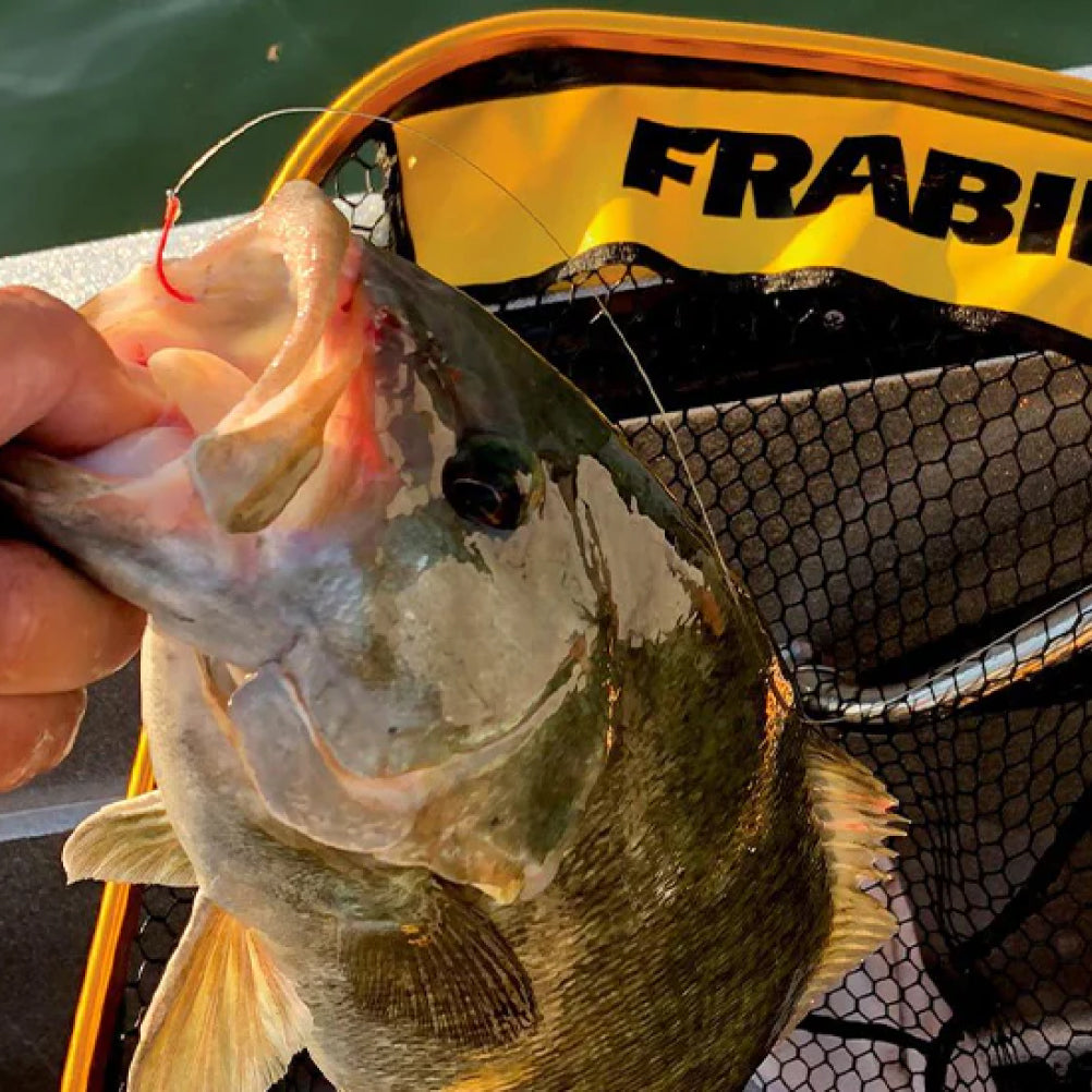 Bait Traps  Frabill® – Frabill Fishing